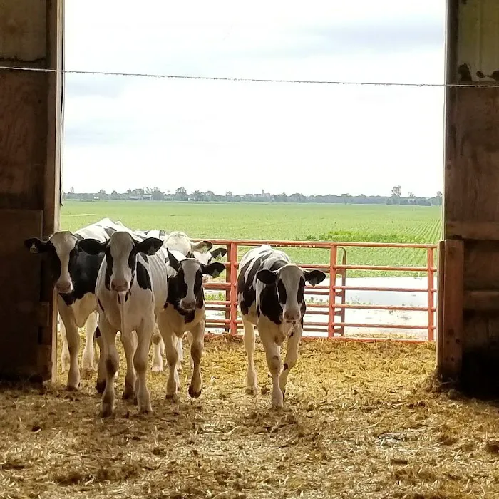 Four County Veterinary Services Picture 6