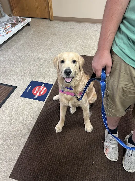 NOAH Pet Clinic Picture 1