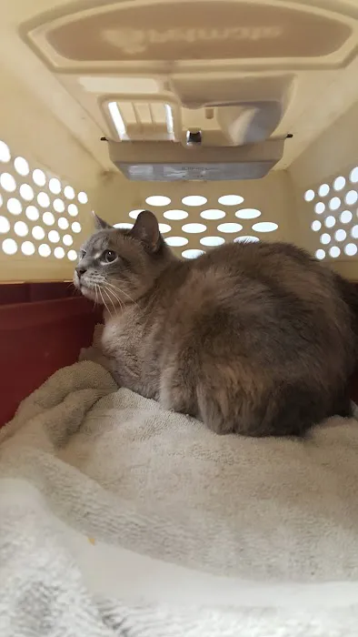 Lakeshore Veterinary Hospital Picture 5