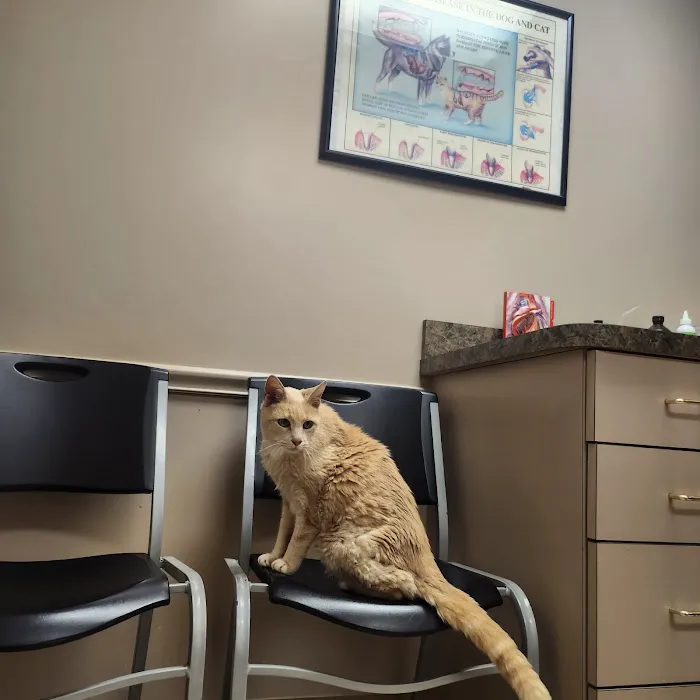 Sandusky Animal Hospital Picture 4