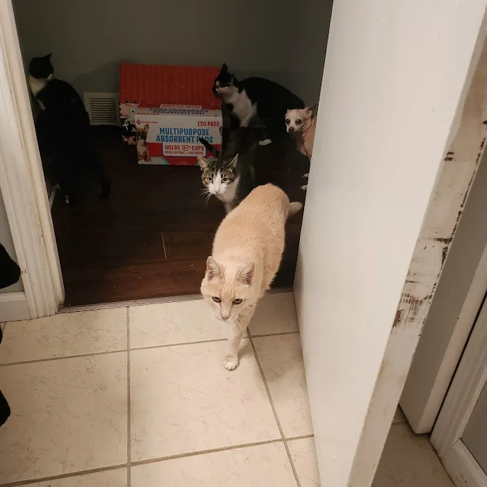 Sandusky Animal Hospital Picture 5