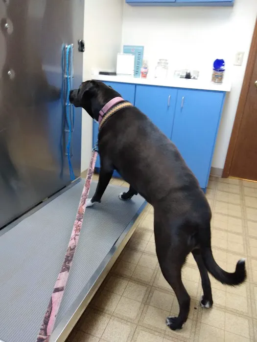 Landings Animal Hospital Picture 5