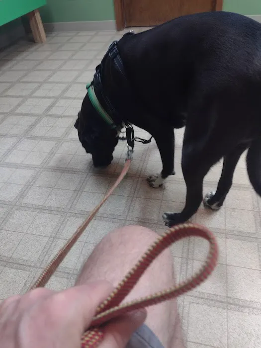 Landings Animal Hospital Picture 9