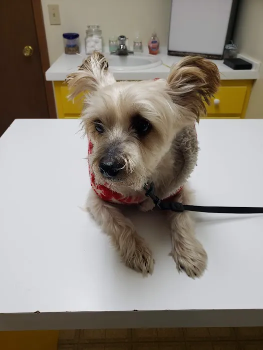 Landings Animal Hospital Picture 1