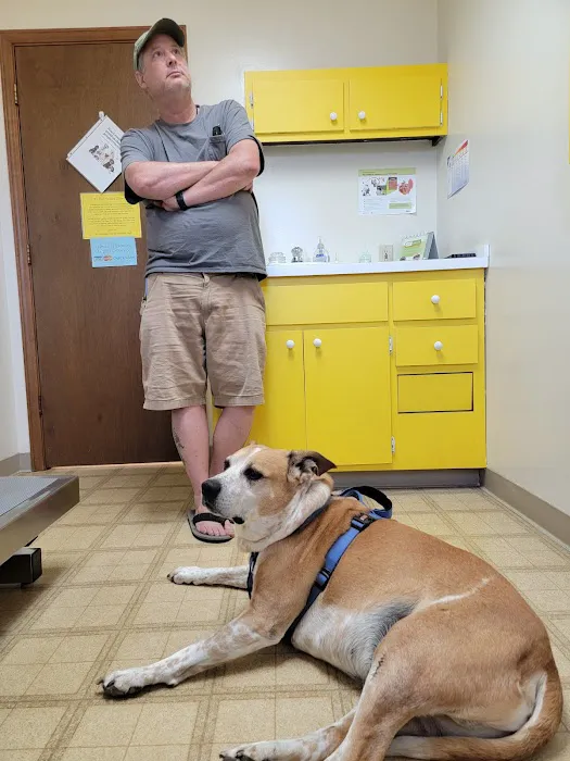Landings Animal Hospital Picture 8