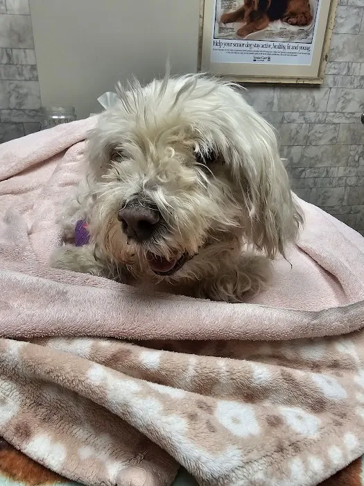 Avon Lake Animal Clinic: Mills Brian N DVM Picture 1