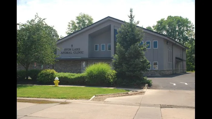 Avon Lake Animal Clinic Picture 4