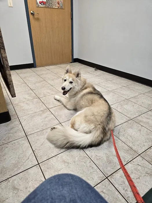Broadway Veterinary Clinic Picture 8