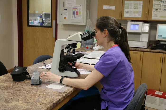 Broadway Veterinary Clinic Picture 4