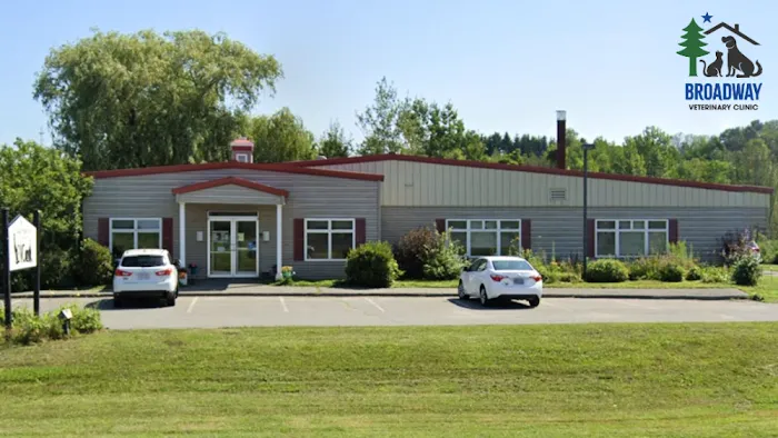 Broadway Veterinary Clinic Picture 10