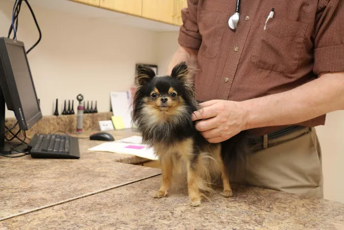 Broadway Veterinary Clinic Picture 7