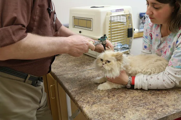 Broadway Veterinary Clinic Picture 1