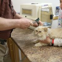 Broadway Veterinary Clinic ico