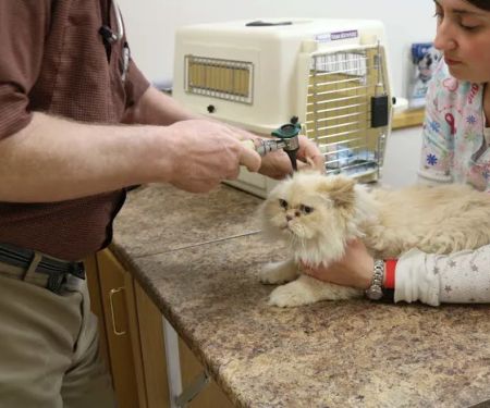 Broadway Veterinary Clinic