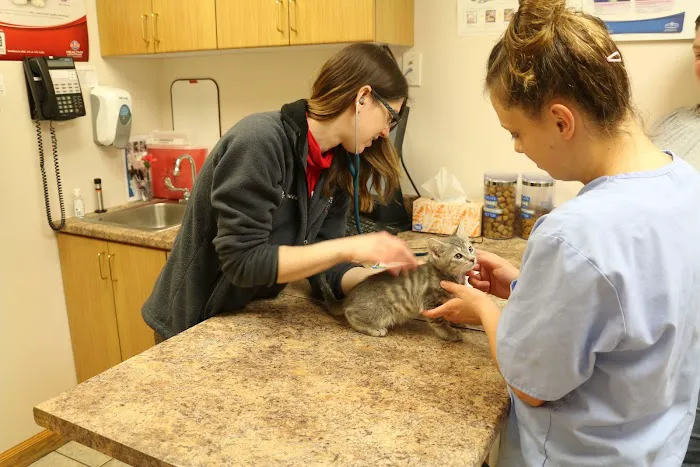 Broadway Veterinary Clinic Picture 5