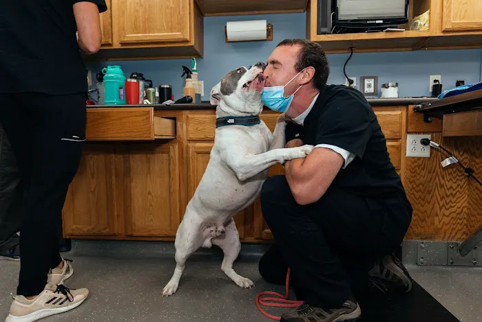 Veazie Veterinary Clinic Picture 5