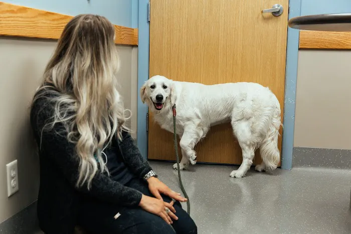 Veazie Veterinary Clinic Picture 4