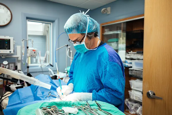 Veazie Veterinary Clinic Picture 1