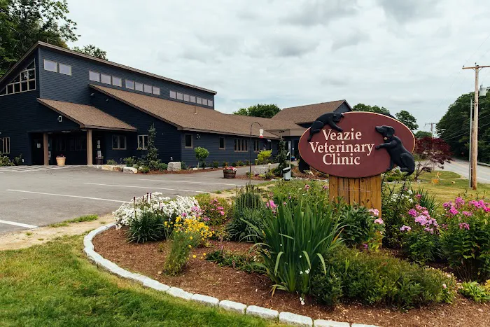 Veazie Veterinary Clinic Picture 2