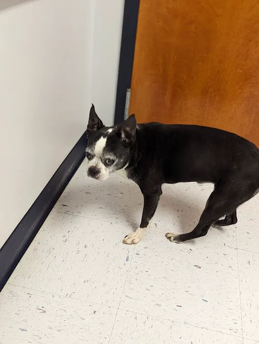 Turner Animal Clinic Picture 2