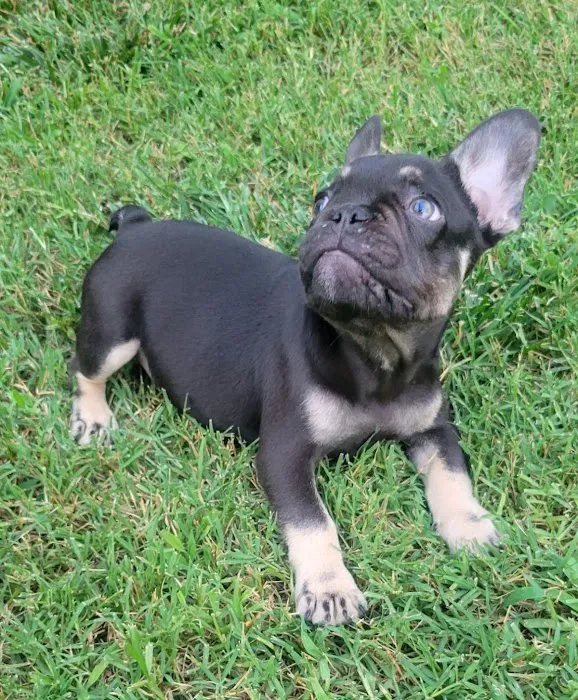 Turner Animal Clinic Picture 9