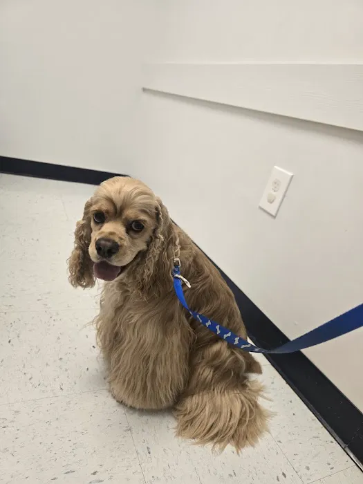 Turner Animal Clinic Picture 1