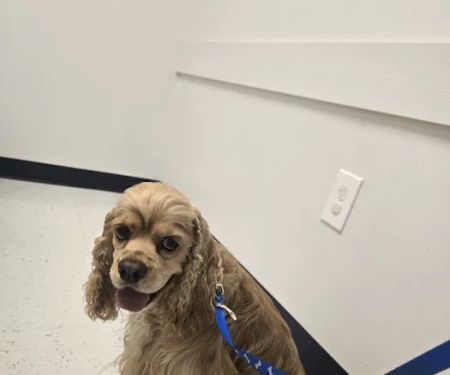 Turner Animal Clinic