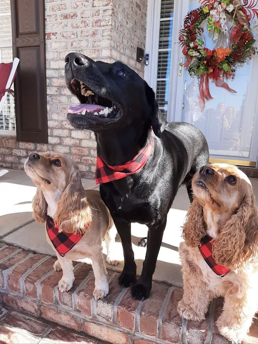 Turner Animal Clinic Picture 4
