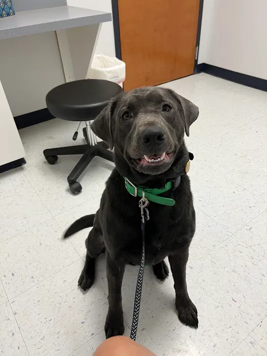 Turner Animal Clinic Picture 8