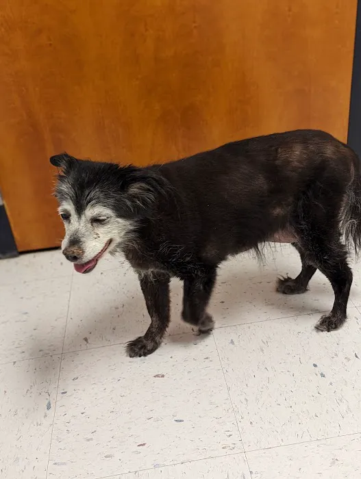 Turner Animal Clinic Picture 3