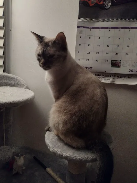 Applewood Animal Hospital Picture 9