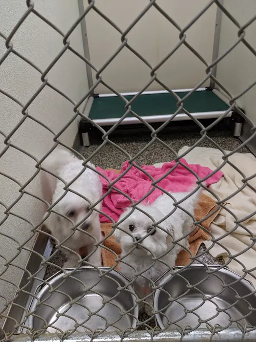 Cherryville Animal Hospital Picture 8