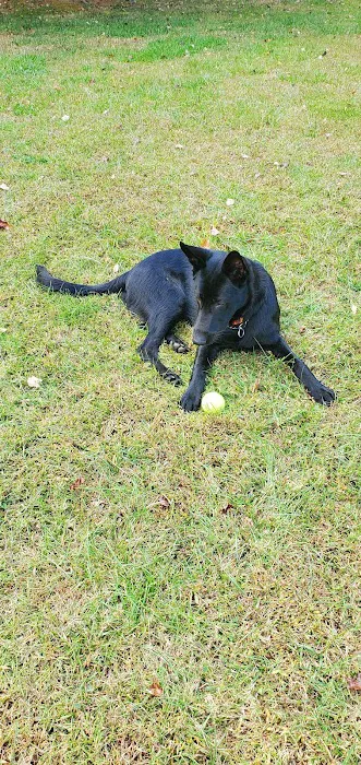 Vale Veterinary Hospital: Matthews Melissa DVM Picture 10
