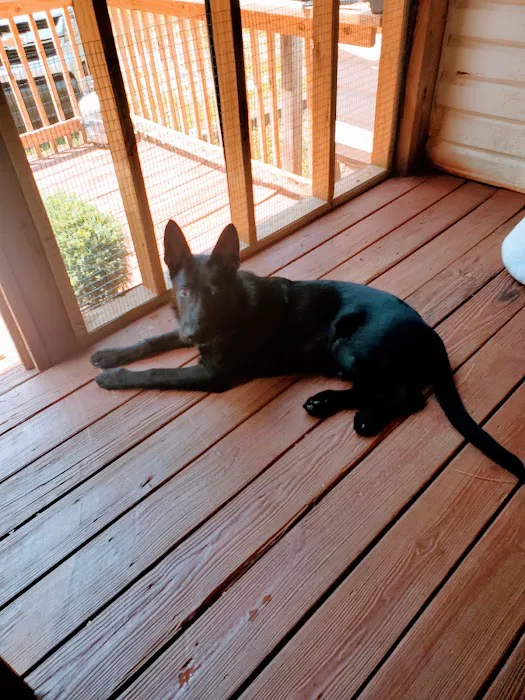 Vale Veterinary Hospital: Matthews Melissa DVM Picture 9