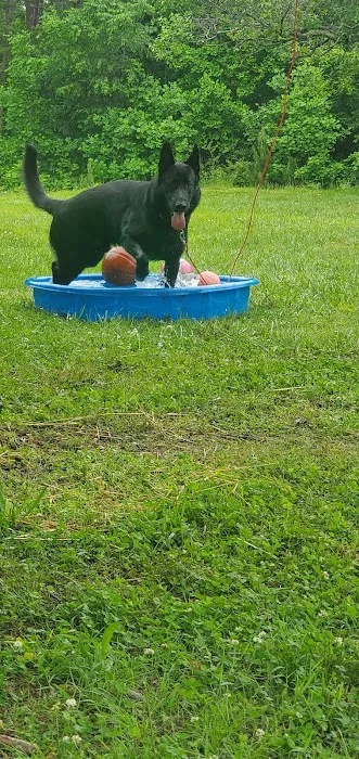 Vale Veterinary Hospital: Matthews Melissa DVM Picture 6