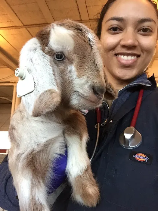 Vale Veterinary Hospital Picture 8