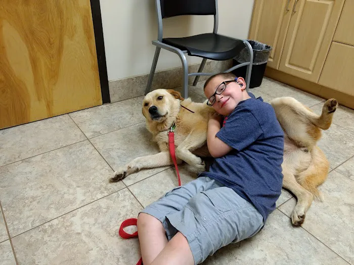 Vale Veterinary Hospital Picture 5
