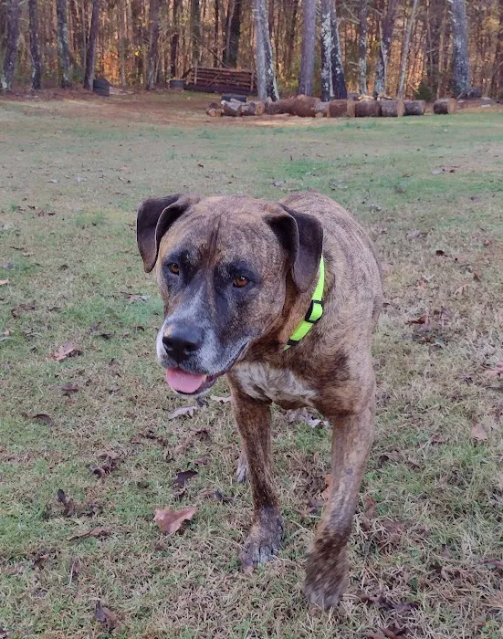 Vale Veterinary Hospital: Matthews Steven DVM Picture 3