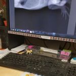 Vale Veterinary Hospital: Matthews Steven DVM