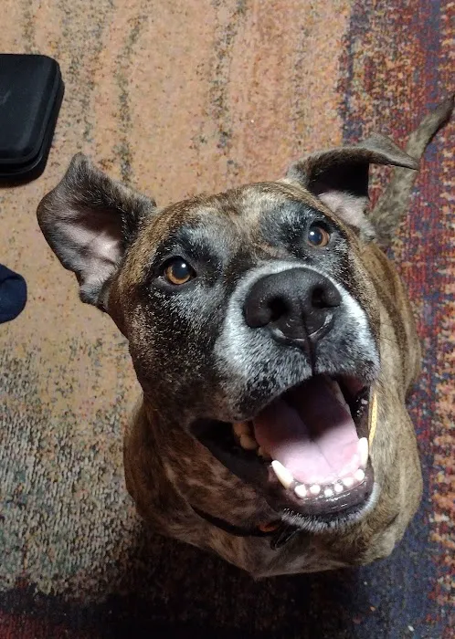 Vale Veterinary Hospital: Matthews Steven DVM Picture 4