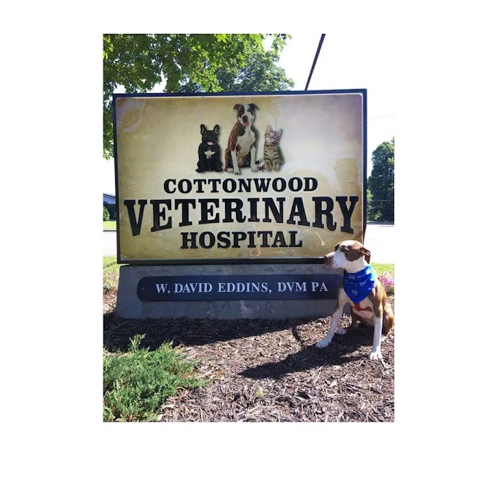 Cottonwood Veterinary Hospital Picture 10
