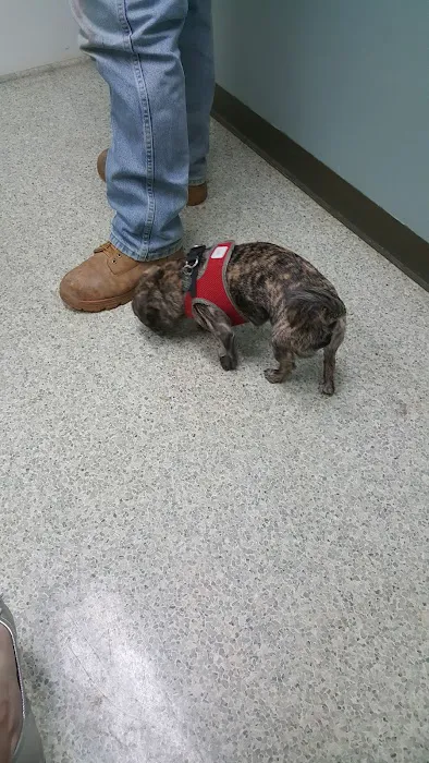 Cottonwood Veterinary Hospital Picture 4