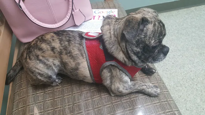 Cottonwood Veterinary Hospital Picture 3