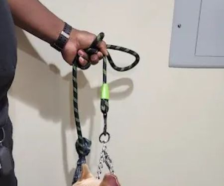 Mobile Vet Clinic-Charlotte NC