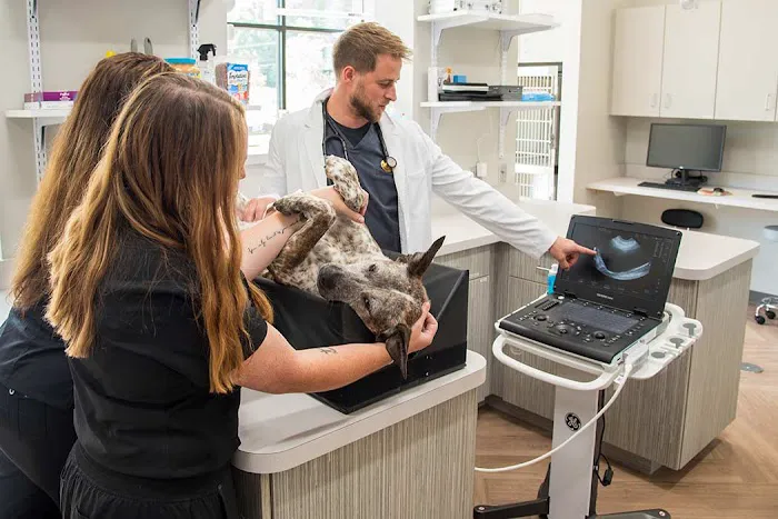 North Creek Animal Hospital Picture 2