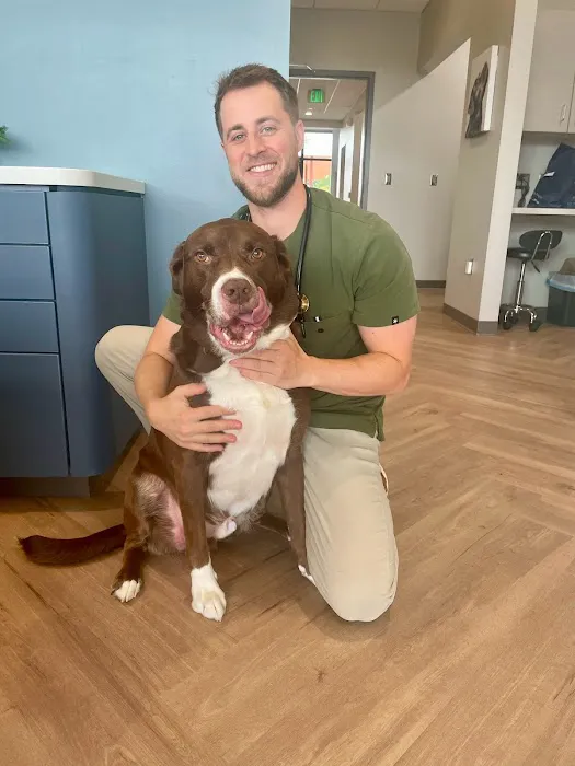 North Creek Animal Hospital Picture 6