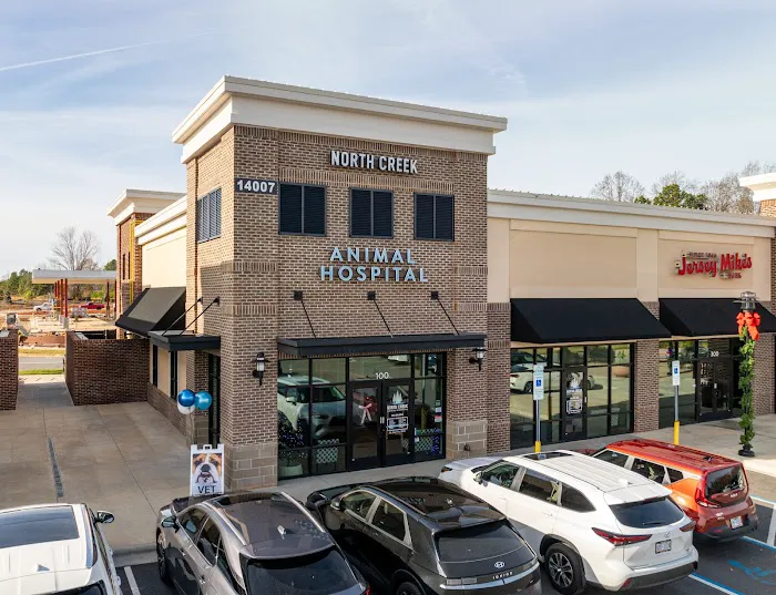North Creek Animal Hospital Picture 3