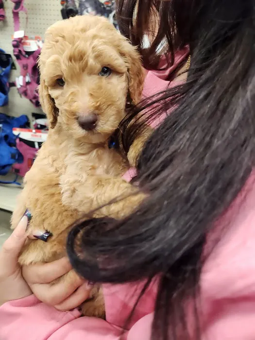 Banfield Pet Hospital Picture 2
