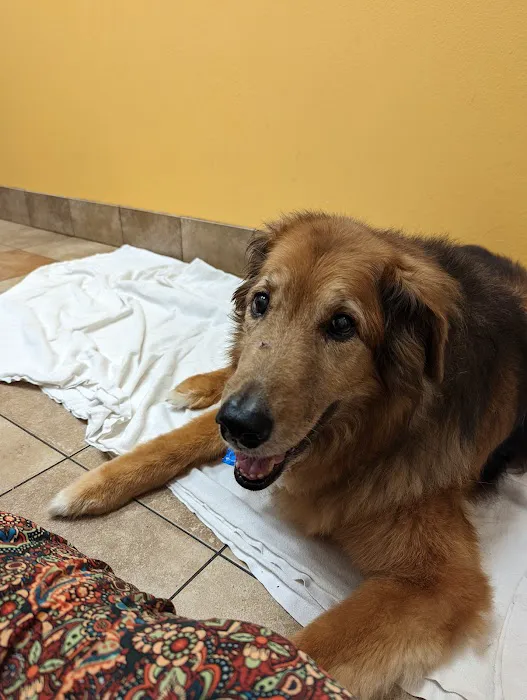 Banfield Pet Hospital Picture 9