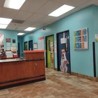 Banfield Pet Hospital ico